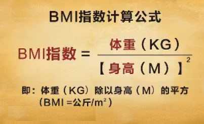 骨密度體重指數BMI.jpg